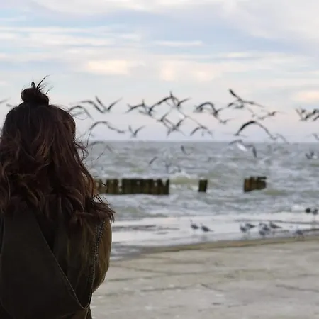 Aparthotel Südkap C 05 4*