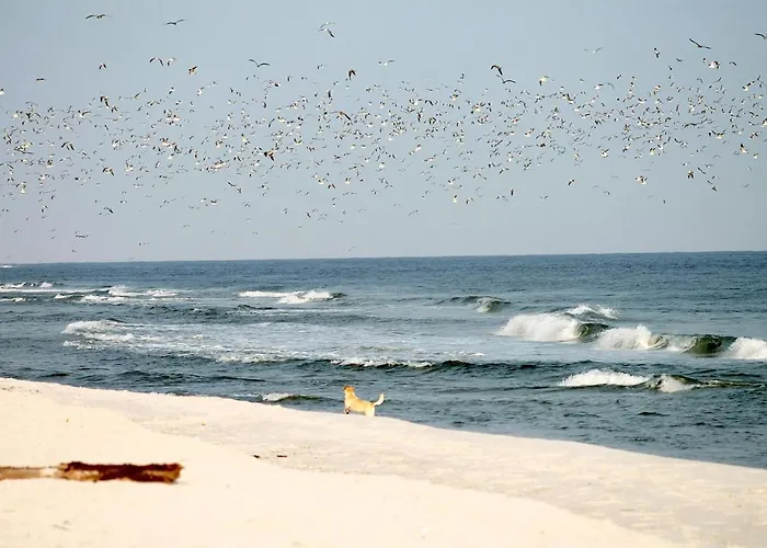 Apart-hotel Suedkap C 05